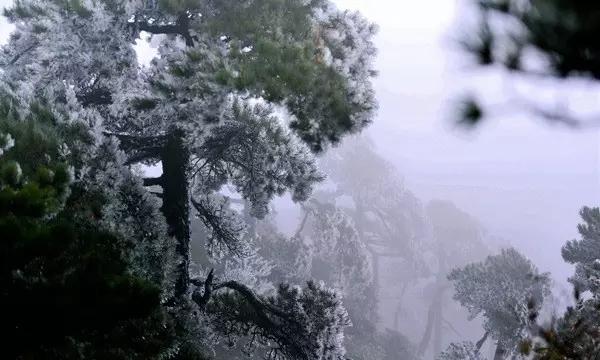 召唤神龙万宁版祖龙